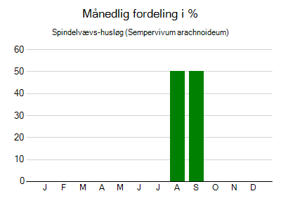 Spindelvævs-husløg - månedlig fordeling