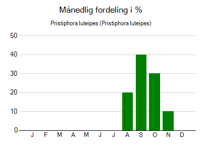 Pristiphora luteipes - månedlig fordeling