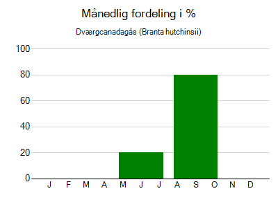 Dværgcanadagås - månedlig fordeling