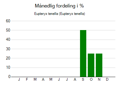 Eupteryx tenella - månedlig fordeling