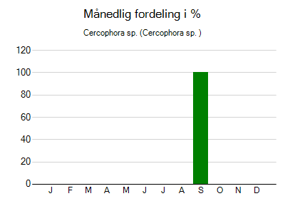 Cercophora sp. - månedlig fordeling