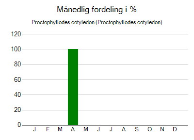 Proctophyllodes cotyledon - månedlig fordeling