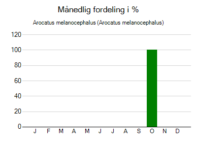 Arocatus melanocephalus - månedlig fordeling