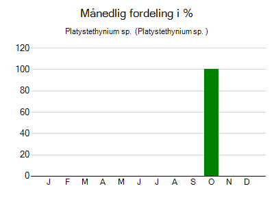 Platystethynium sp.  - månedlig fordeling