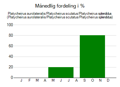 Platycheirus aurolateralis/Platycheirus scutatus/Platycheirus splendidus - månedlig fordeling