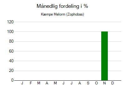 Kæmpe Melorm - månedlig fordeling