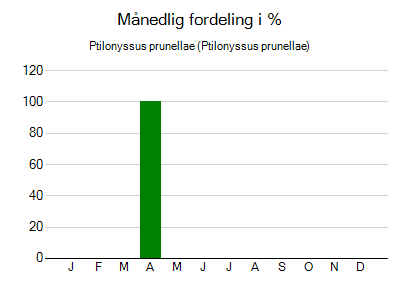 Ptilonyssus prunellae - månedlig fordeling