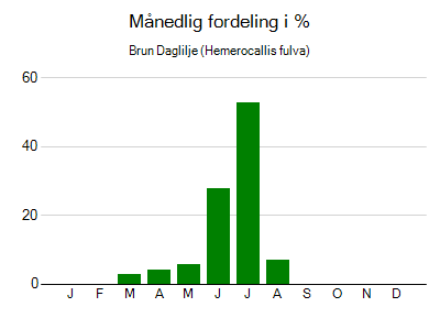 Brun Daglilje - månedlig fordeling