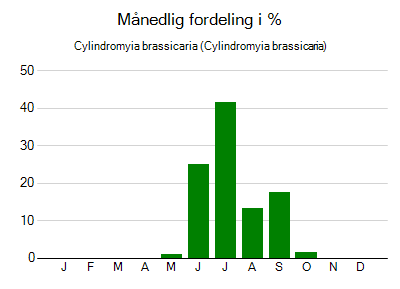 Cylindromyia brassicaria - månedlig fordeling