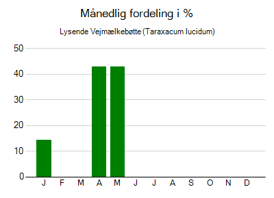 Lysende Vejmælkebøtte - månedlig fordeling