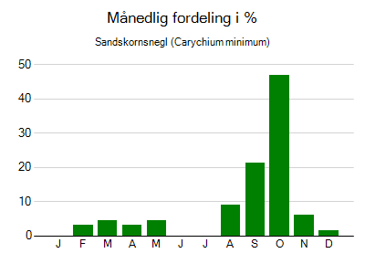 Sandskornsnegl - månedlig fordeling