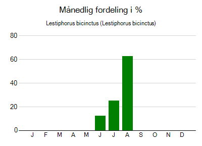 Lestiphorus bicinctus - månedlig fordeling
