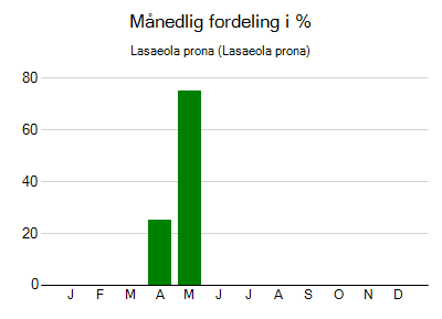 Lasaeola prona - månedlig fordeling