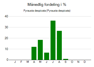Pyrausta despicata - månedlig fordeling
