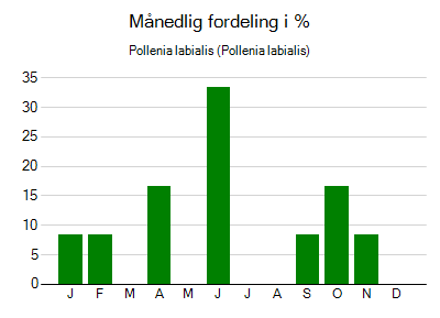 Pollenia labialis - månedlig fordeling