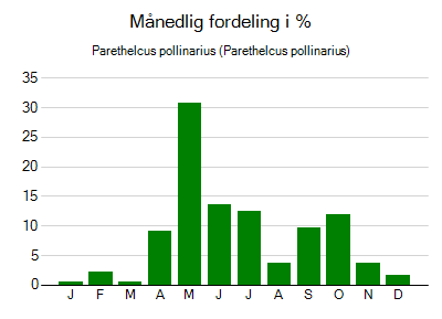 Parethelcus pollinarius - månedlig fordeling