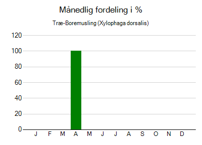 Træ-Boremusling - månedlig fordeling