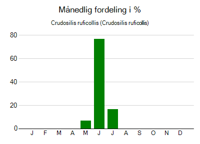 Crudosilis ruficollis - månedlig fordeling