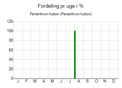 Pentarthrum huttoni - ugentlig fordeling