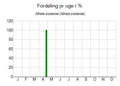 Atheta zosterae - ugentlig fordeling