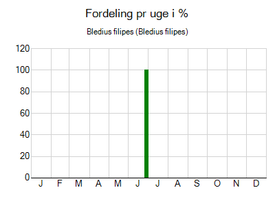 Bledius filipes - ugentlig fordeling