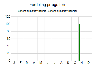 Bohemiellina flavipennis - ugentlig fordeling