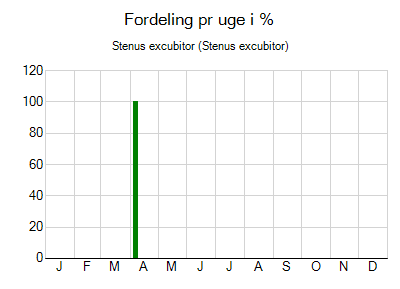 Stenus excubitor - ugentlig fordeling