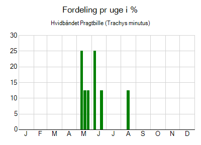 Hvidbåndet Pragtbille - ugentlig fordeling