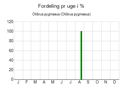 Olibrus pygmaeus - ugentlig fordeling