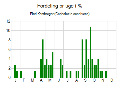 Flad Kantbæger - ugentlig fordeling