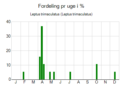 Leptus trimaculatus - ugentlig fordeling