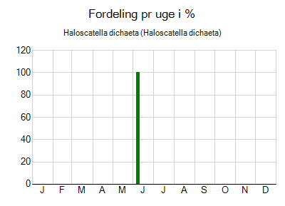 Haloscatella dichaeta - ugentlig fordeling