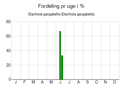 Elachista gangabella - ugentlig fordeling