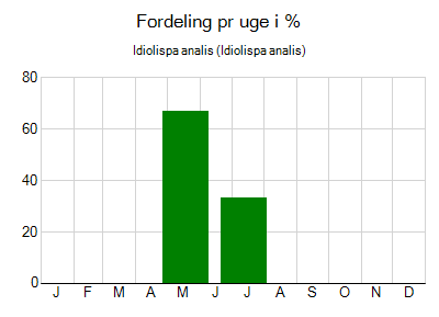 Idiolispa analis - ugentlig fordeling