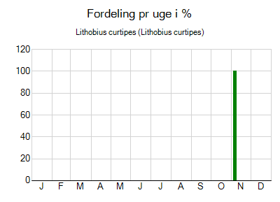 Lithobius curtipes - ugentlig fordeling