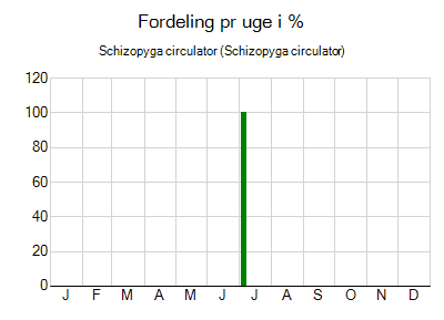 Schizopyga circulator - ugentlig fordeling