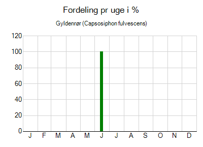 Gyldenrør - ugentlig fordeling