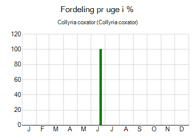 Collyria coxator - ugentlig fordeling