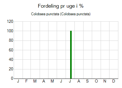 Colobaea punctata - ugentlig fordeling