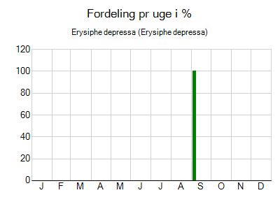 Erysiphe depressa - ugentlig fordeling