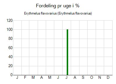 Erythmelus flavovarius - ugentlig fordeling