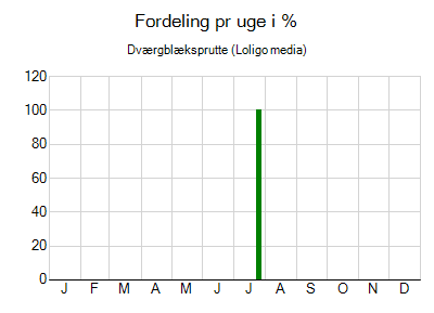 Dværgblæksprutte - ugentlig fordeling