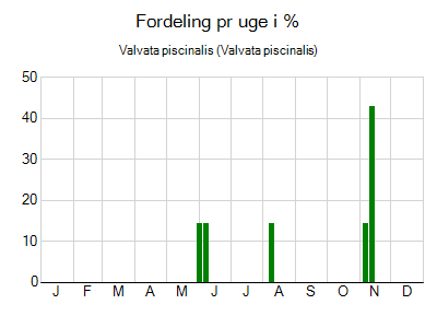 Valvata piscinalis - ugentlig fordeling