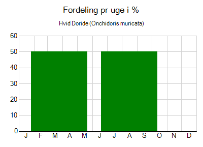 Hvid Doride - ugentlig fordeling