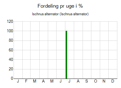 Ischnus alternator - ugentlig fordeling