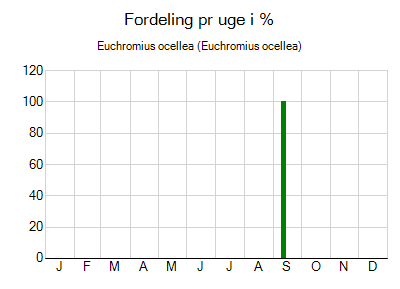 Euchromius ocellea - ugentlig fordeling