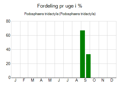 Podosphaera tridactyla - ugentlig fordeling