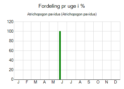 Atrichopogon pavidus - ugentlig fordeling