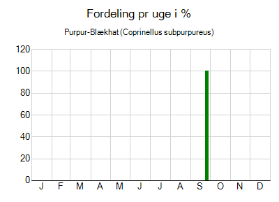 Purpur-Blækhat - ugentlig fordeling