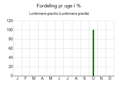 Lumbrineris gracilis - ugentlig fordeling